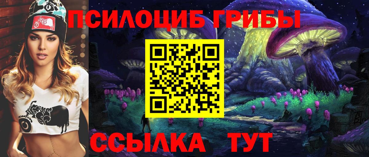 Псилоцибиновые грибы GOLDEN TEACHER Спасск-Дальний